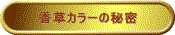 J[̔閧 